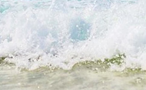 关于描写夏天的日记范文集锦7篇