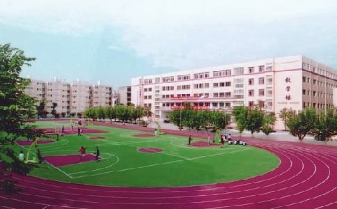 小学校园日记(合集15篇)