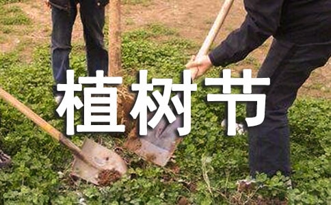 关于快乐的植树节日记合集6篇