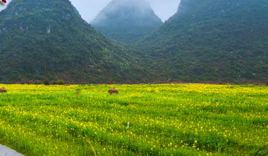 实用的春游的日记模板汇总十篇